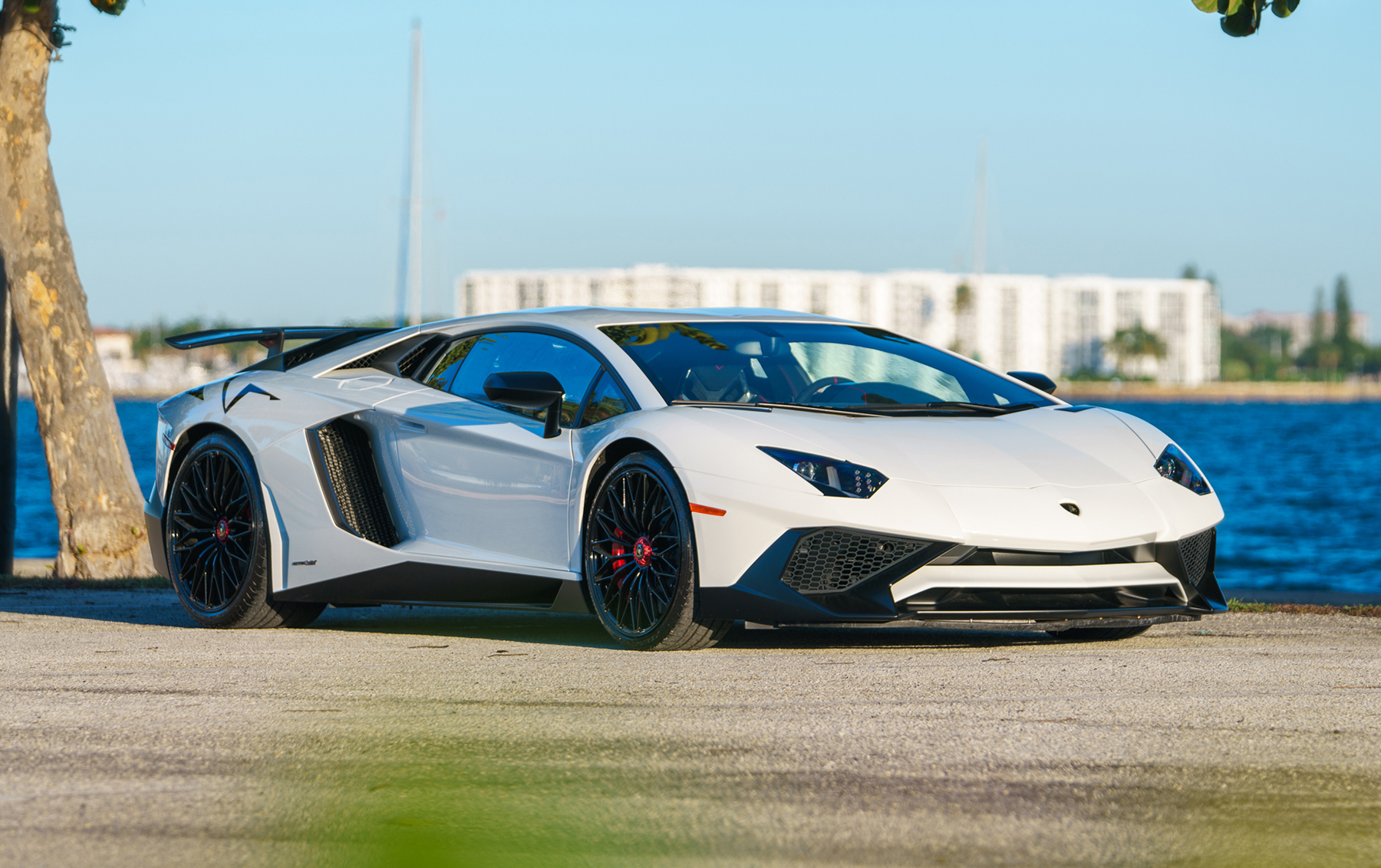 2016 Lamborghini Aventador sold at auction for $725,500