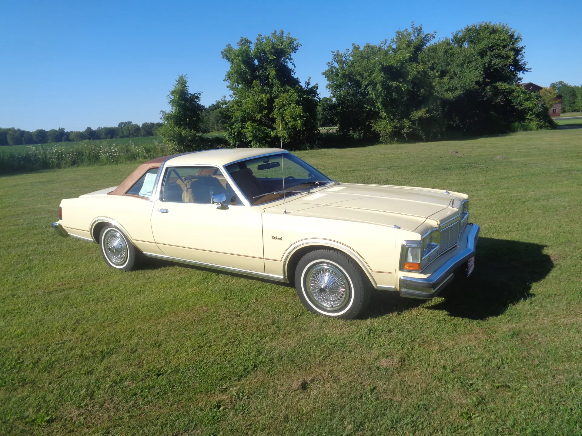 1977 Dodge Diplomat sold at auction for $9,900