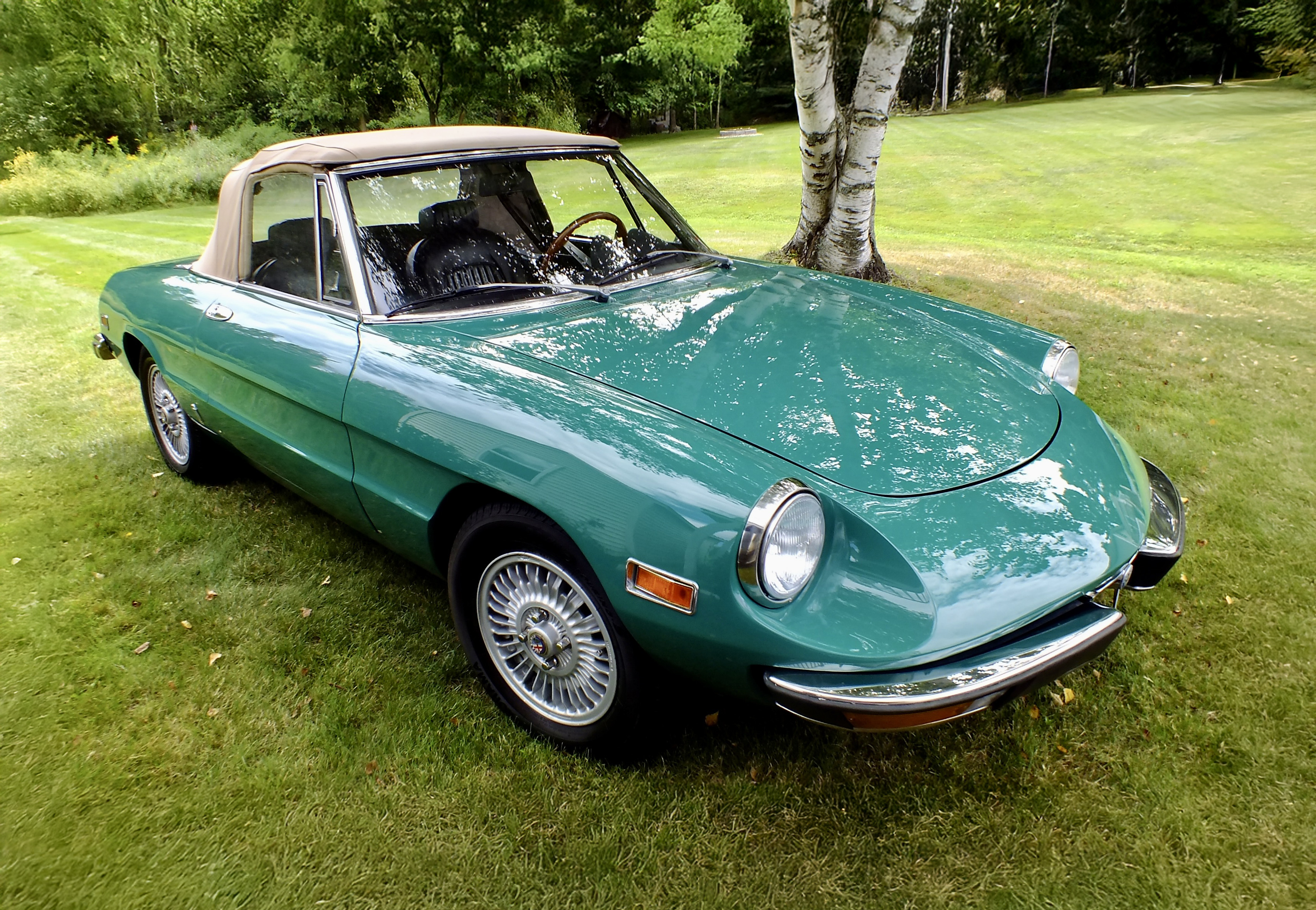 1973 Alfa Romeo 2000 sold at auction for $12,500